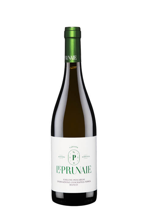 Bianco Colline Pescaresi IGT 2023