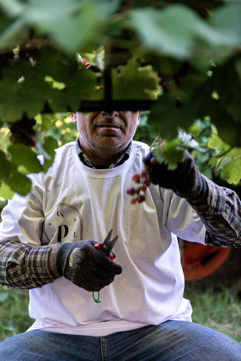 Coltivazione diretta Le Prunaie