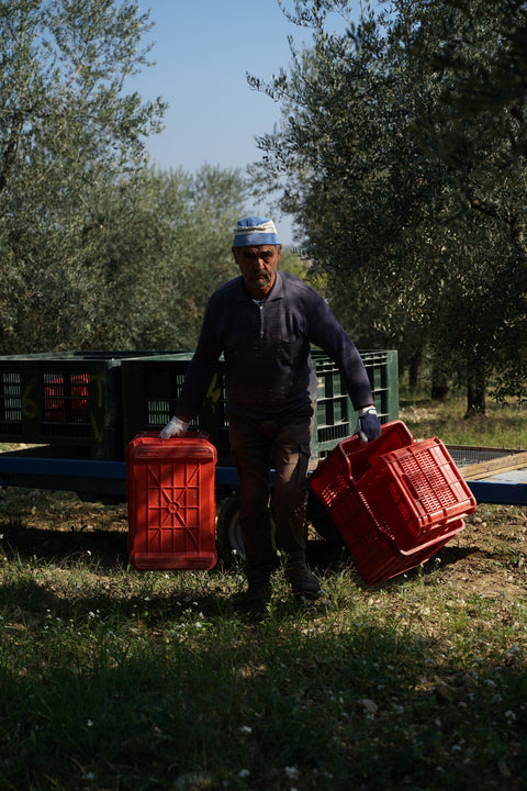 Lavorazioni naturali Le Prunaie