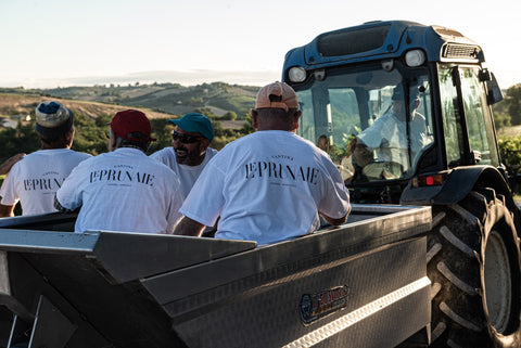 Azienda Agricola Le Prunaie