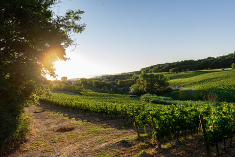 Stagionalità Le Prunaie