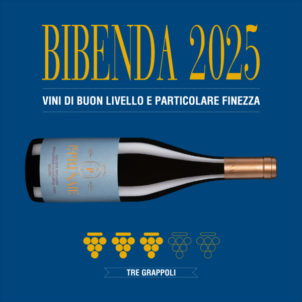 Malbec Colline Pescaresi IGT 2022 - immagine 2