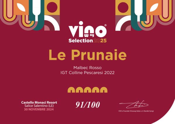 Malbec Colline Pescaresi IGT 2022 - immagine 3